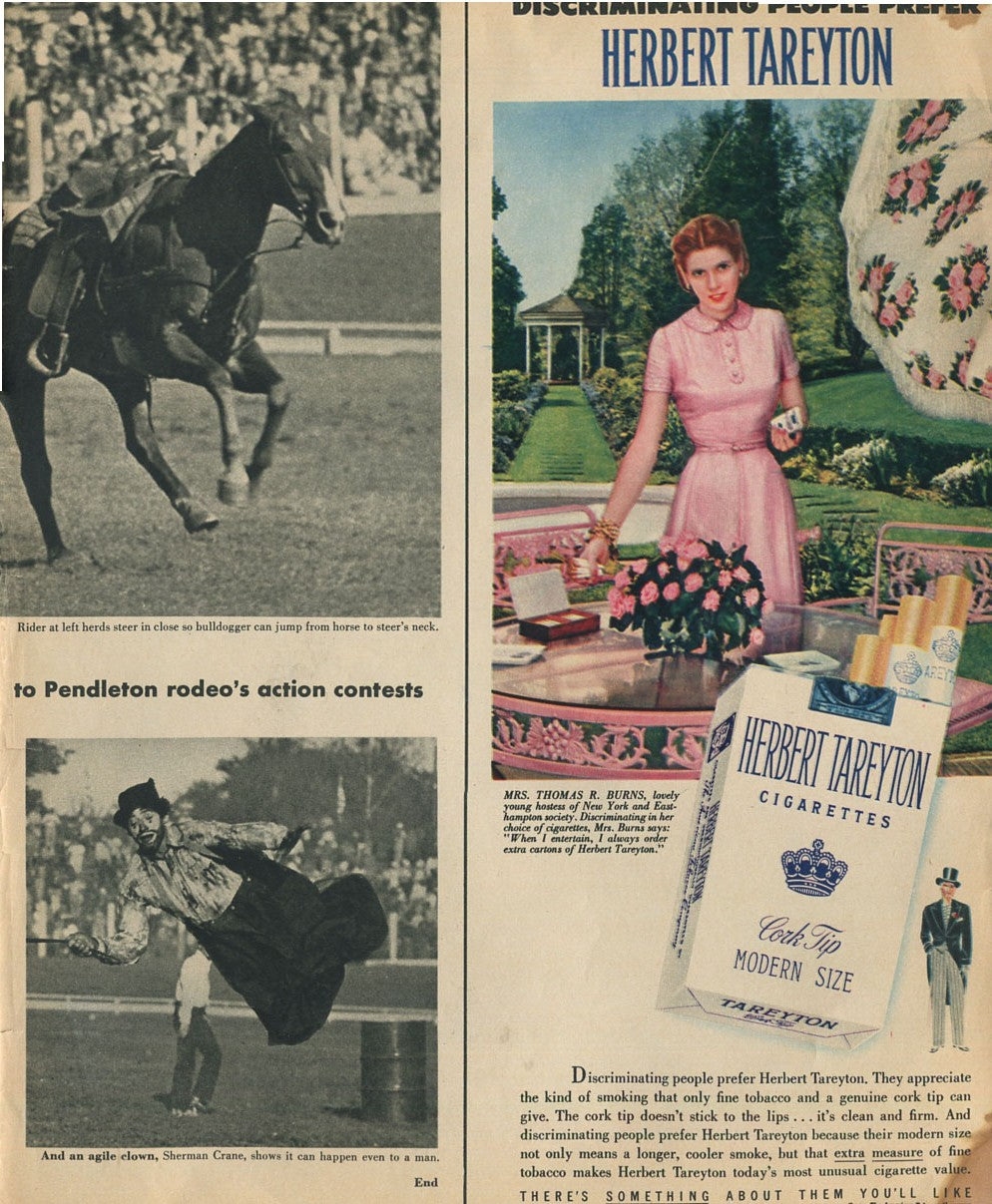 Antique Cigarette Advertisements – Herbert Tareyton Family of Ads – Complete Set of 10 – 1950s–1960s – Original Print Ads