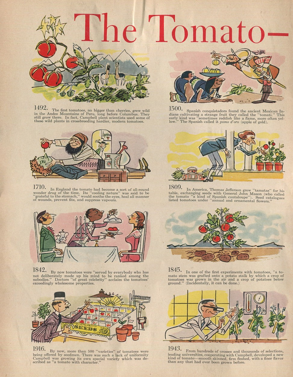Antique Campbell’s Soup Advertisements – Complete Historical Collection (1927–1971) – 50 Original Vintage Ads - #1