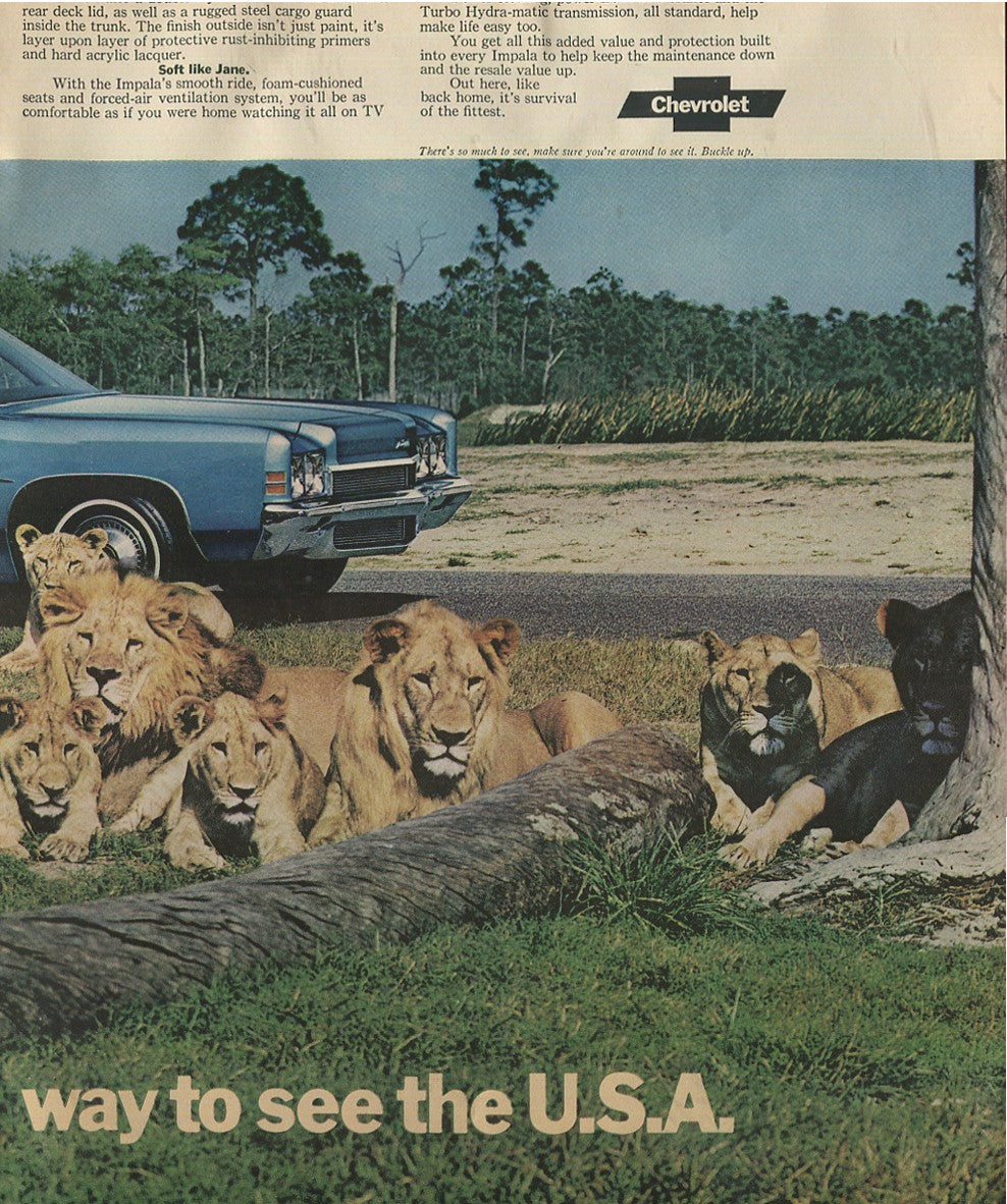 Antique Chevrolet Automobile Advertisements – 80 Original Print Ads, 1924–1992 – Cars, Trucks, WWII, Soap Box Derby & Classic Models