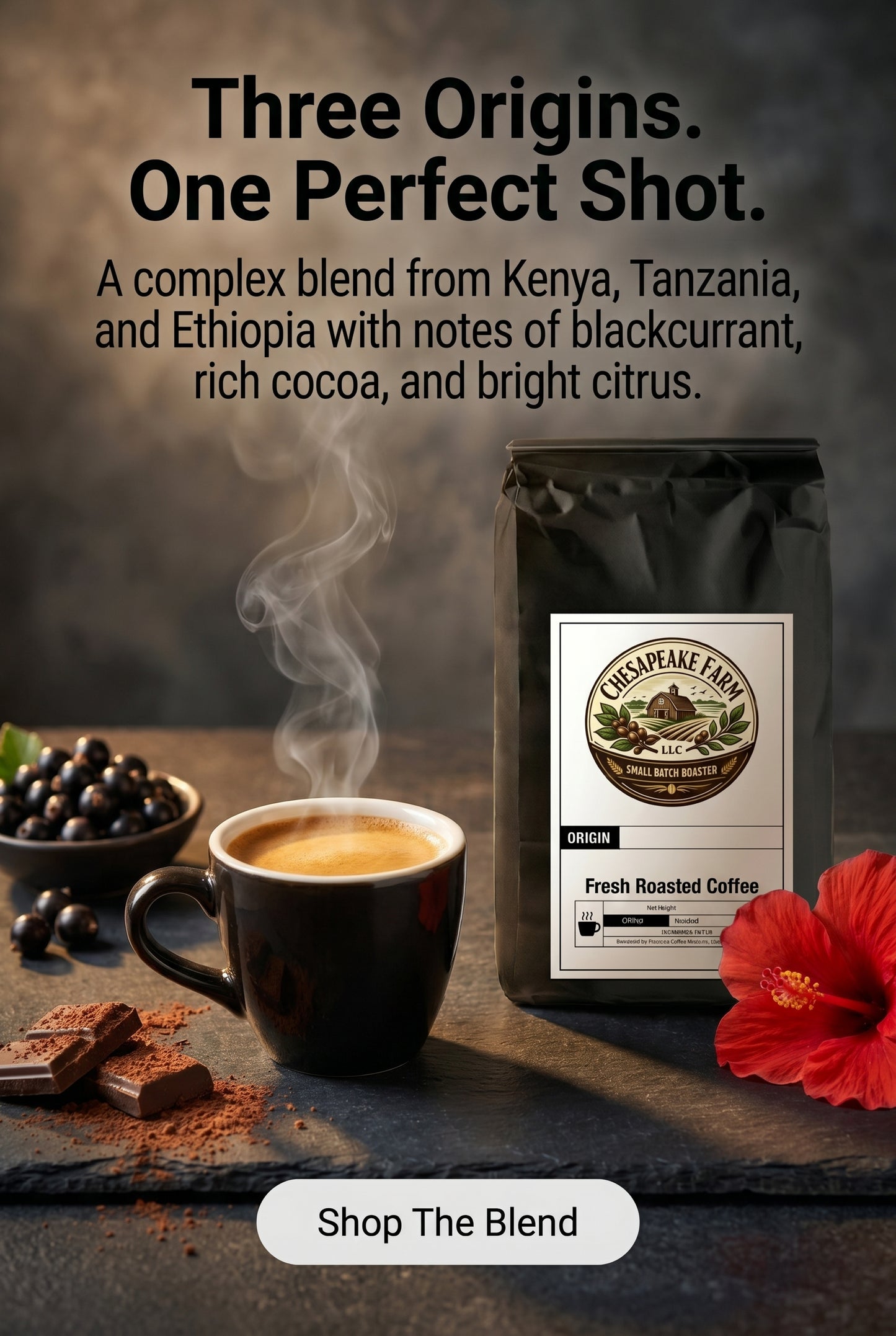 Mezcla de Espresso Africano Tostado Medio Oscuro de Kenia, Tanzania y Etiopía con Cuerpo Robusto y Final Brillante