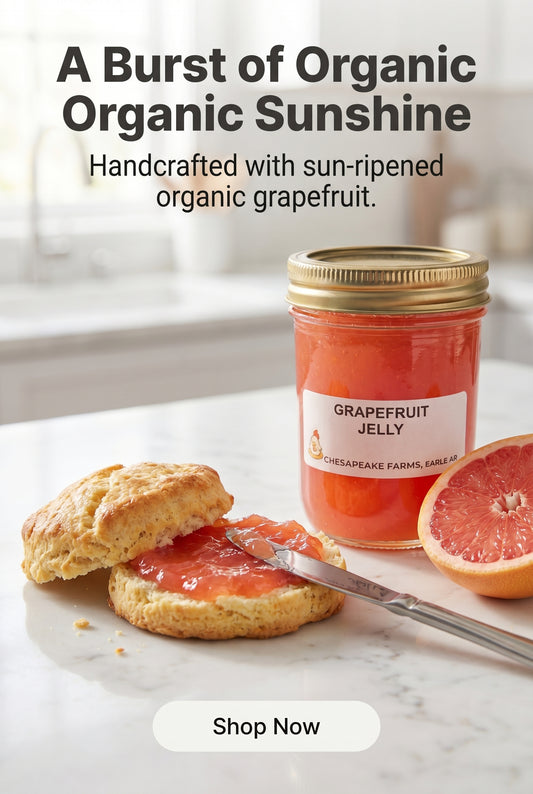 Organic Grapefruit Jelly – Bright, Tart, and Refreshing