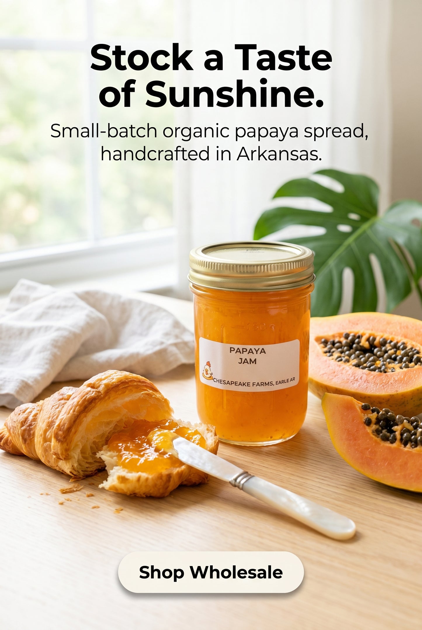 Arkansas‑Made Organic Papaya Gourmet Spread