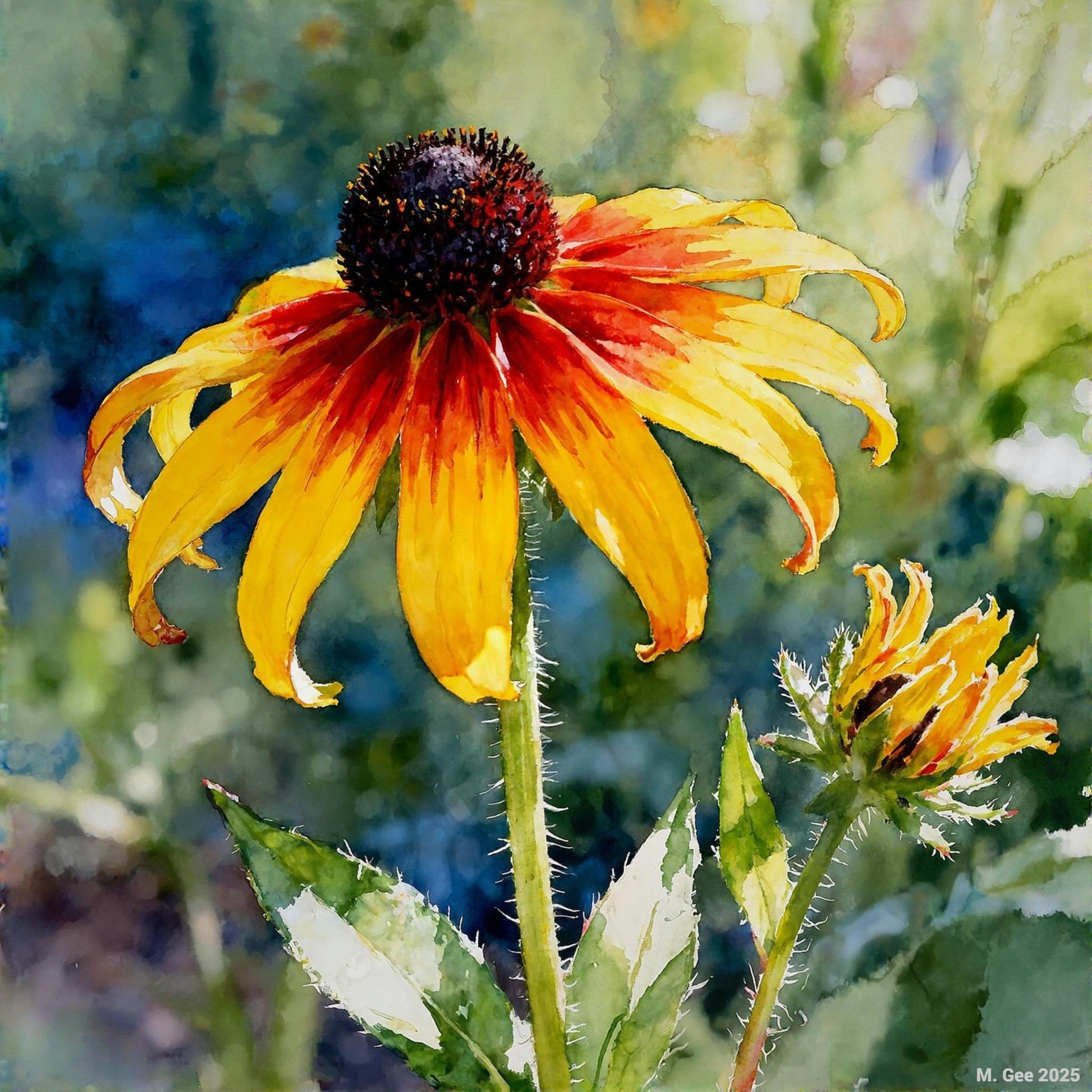 Coneflower Study A In Watercolors - Digital Wall Art – Instant Download - Chesapeake Farms LLC - Gourmet Jams/Jellies & Coffee - Original Artworks - Antiques