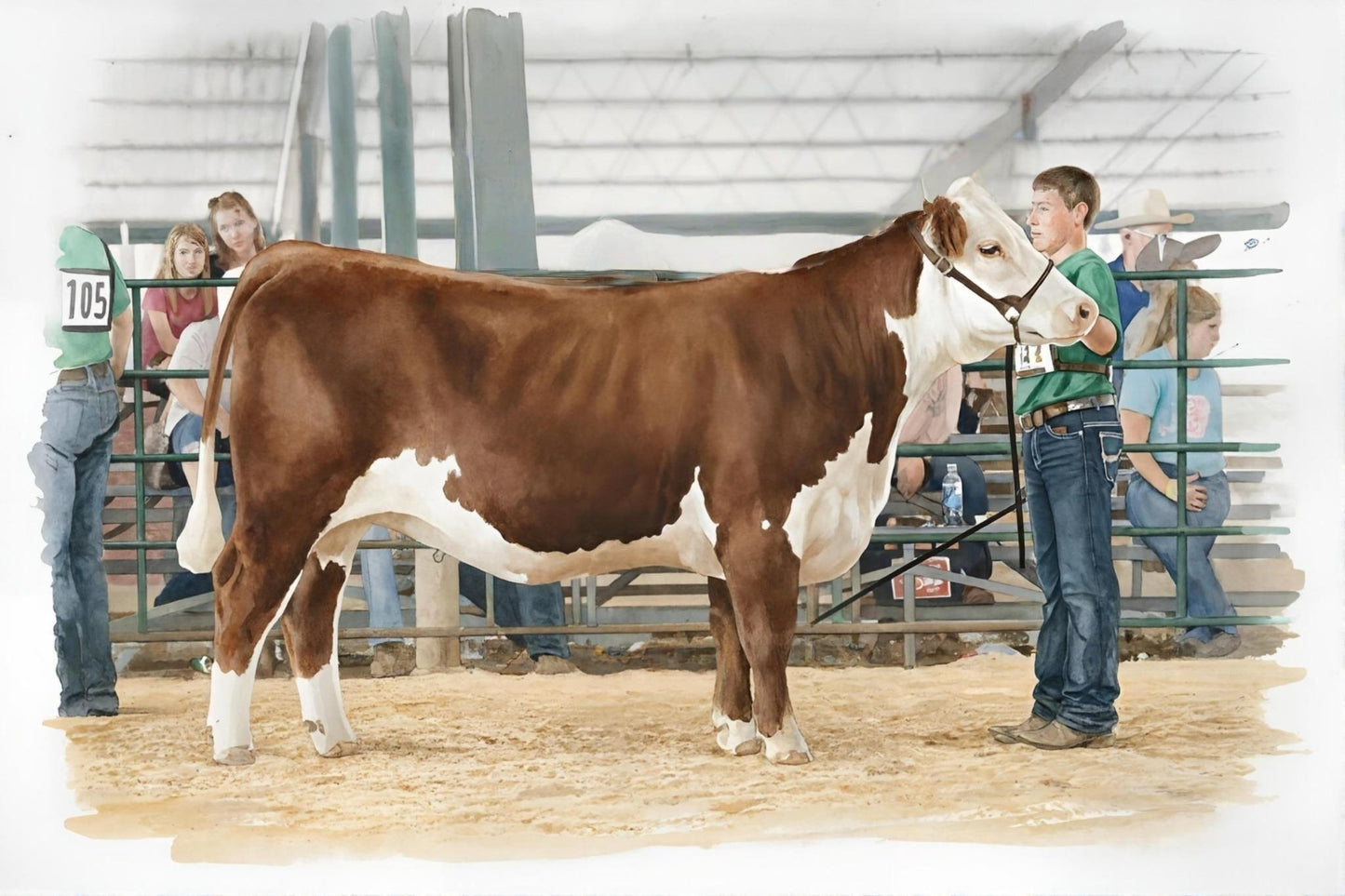 Hereford Heifer Class - Digital Wall Art – Instant Download - Chesapeake Farms LLC - Gourmet Jams/Jellies & Coffee - Original Artworks - Antiques