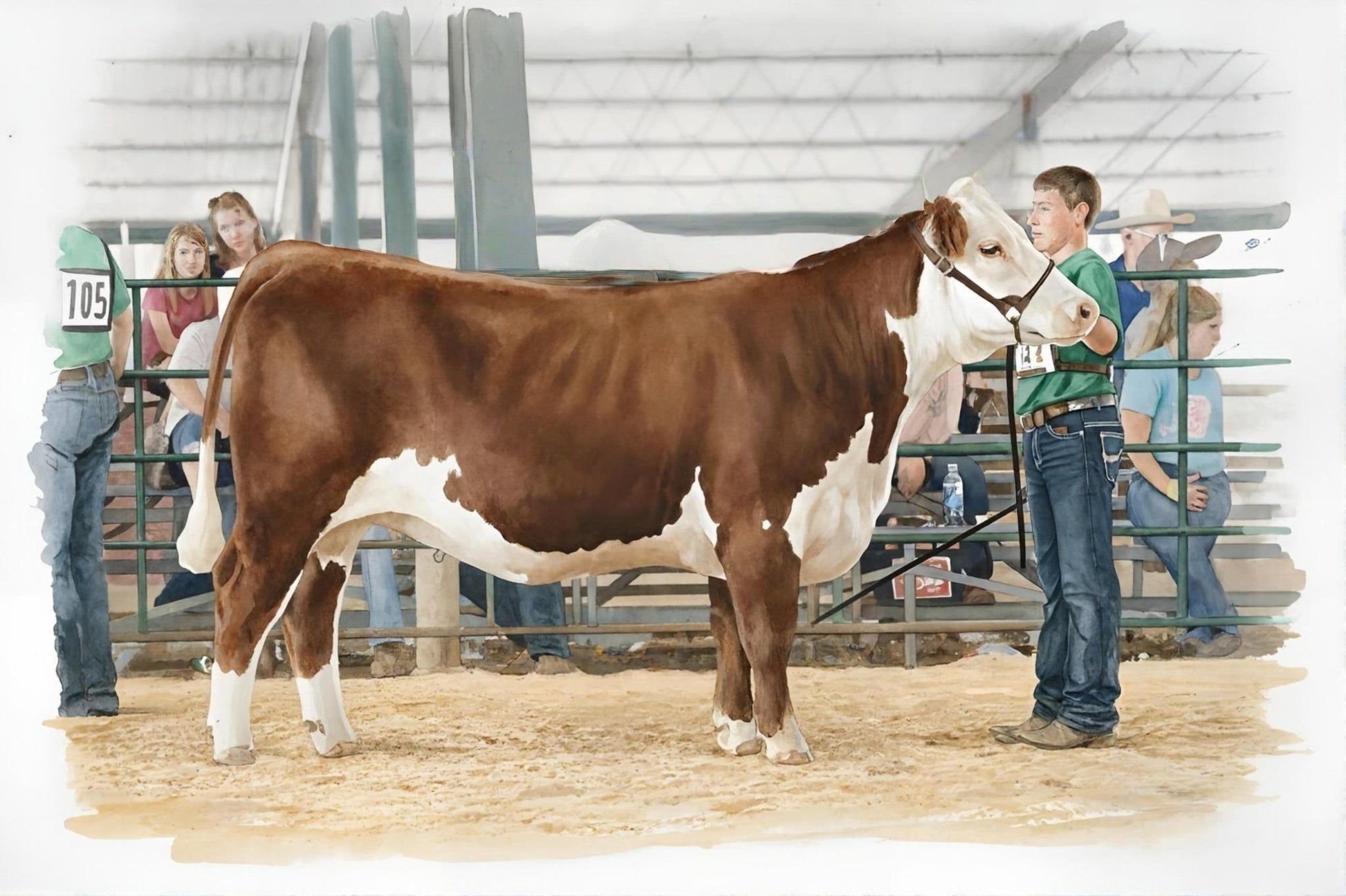 Hereford Heifer Class - Digital Wall Art – Instant Download - Chesapeake Farms LLC - Gourmet Jams/Jellies & Coffee - Original Artworks - Antiques