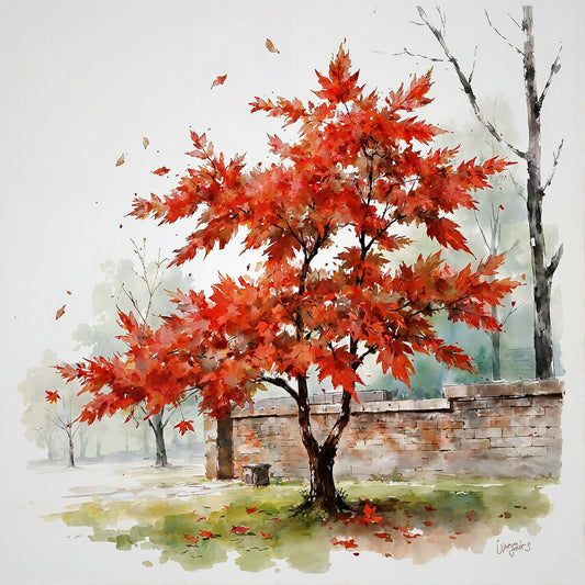 Red Japanese Maple Study B In Watercolors Digital Wall Art – Instant Download - Chesapeake Farms LLC - Gourmet Jams/Jellies & Coffee - Original Artworks - Antiques