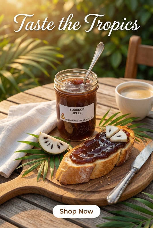Soursop Jelly – 8 oz Jar - Organically Sourced - Exotic Fruit Spread - Great Gif - Chesapeake Farms LLC - Gourmet Jams/Jellies & Coffee - Original Artworks - Antiques